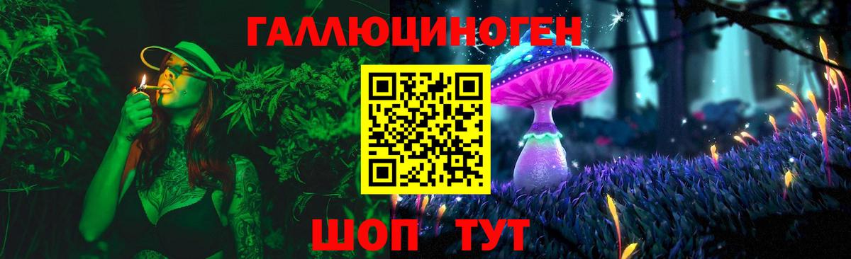 Зима  Галлюциногенные грибы GOLDEN TEACHER  Вход с VPN  Галлюциногенные грибы Psilocybine cubensis 